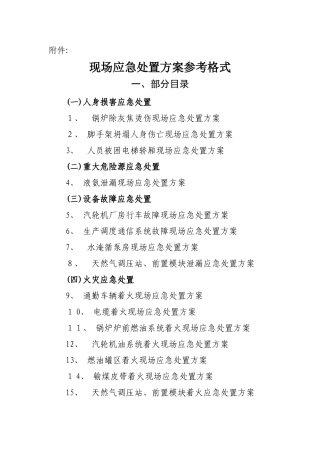 现场应急处置方案参考格式