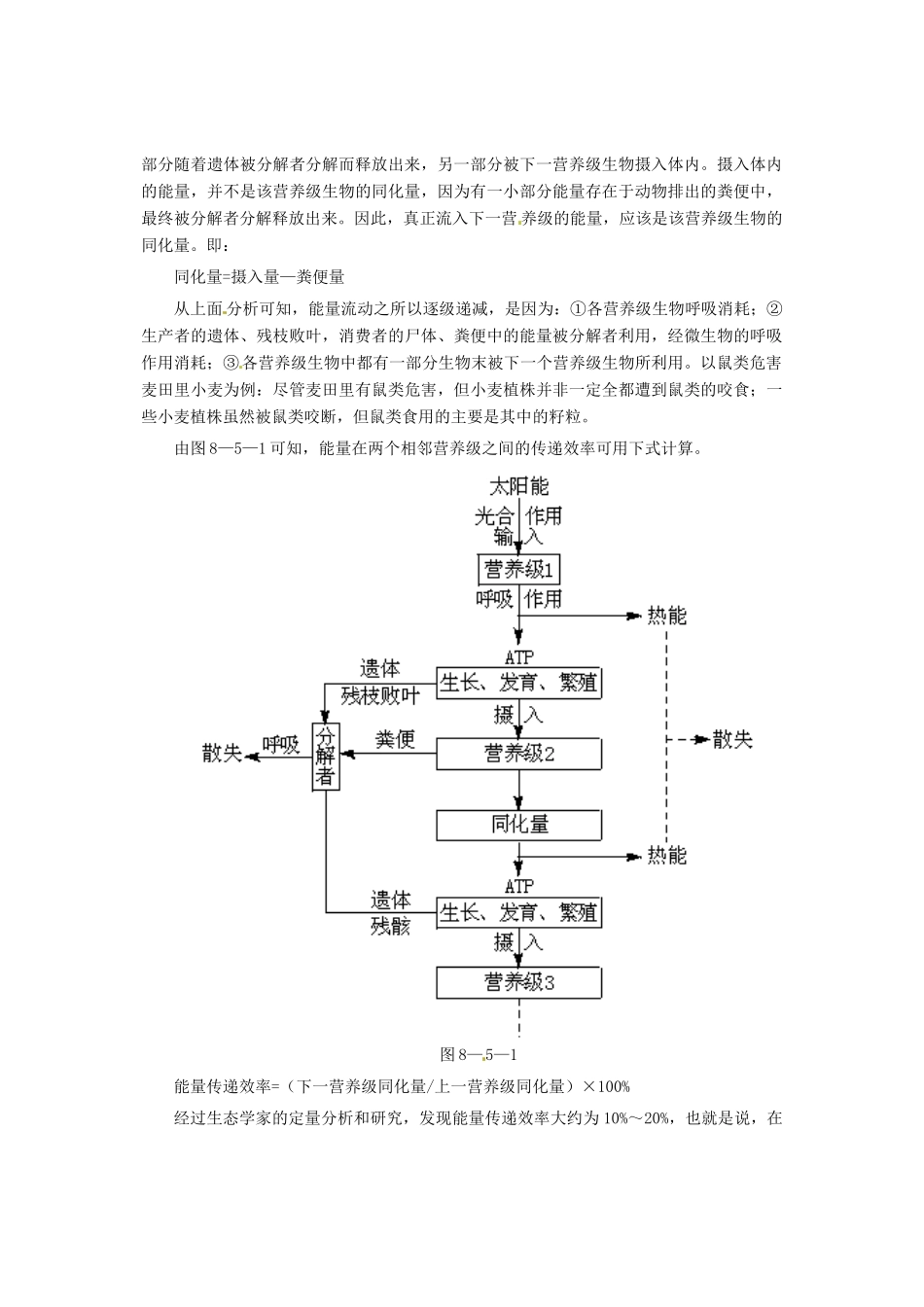 （教师用书）2015高中生物 第五章 第二节 生态系统的能量流动素材 新人教版必修3_第3页