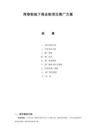 珲春街地下商业街项目推广方案