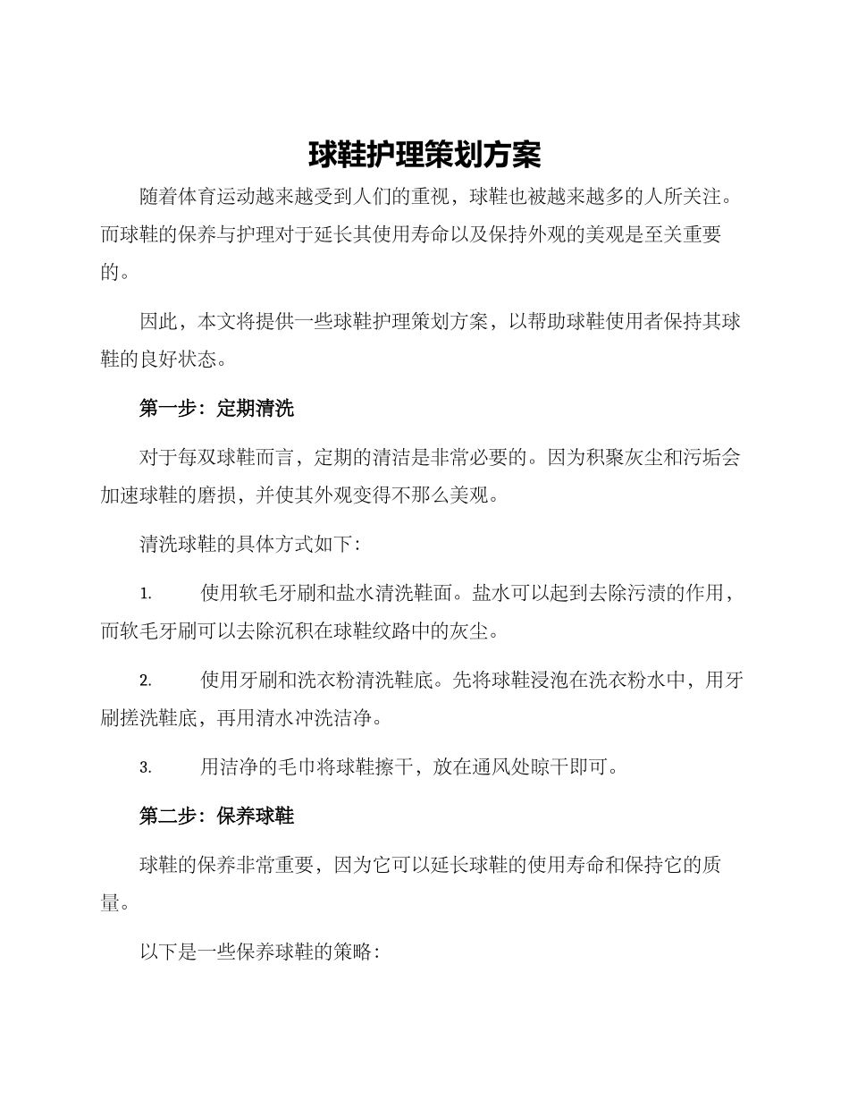 球鞋护理策划方案_第1页