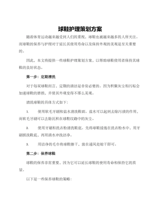 球鞋护理策划方案