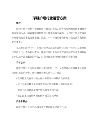 球鞋护理行业运营方案