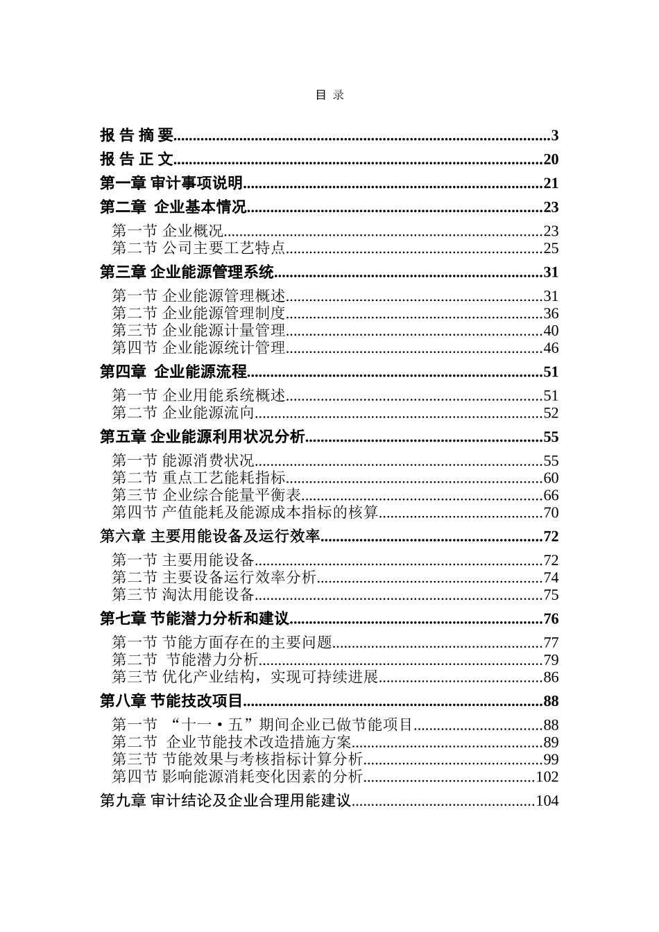 璃玻有限公司能源审计报告大学论文_第1页