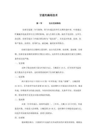 甘蓝的栽培技术