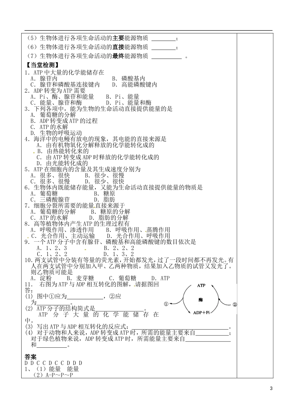 （新编资料）2013-2014学年高中生物 第5章 2节 细胞的能量“通货”-ATP导学案 新人教版必修1 _第3页