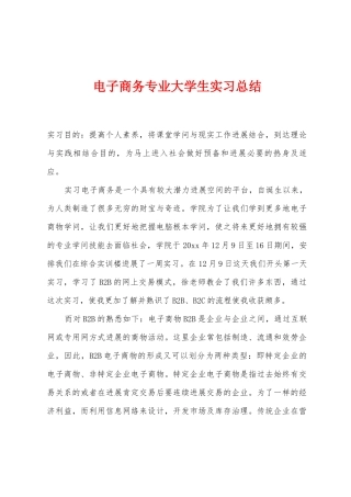 电子商务专业大学生实习总结