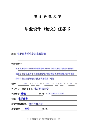 电子商务对中小企业的影响毕业设计任务书