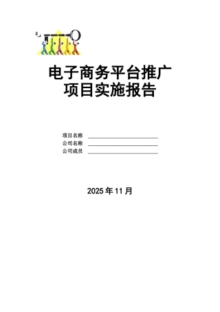 电子商务平台推广项目实施报告