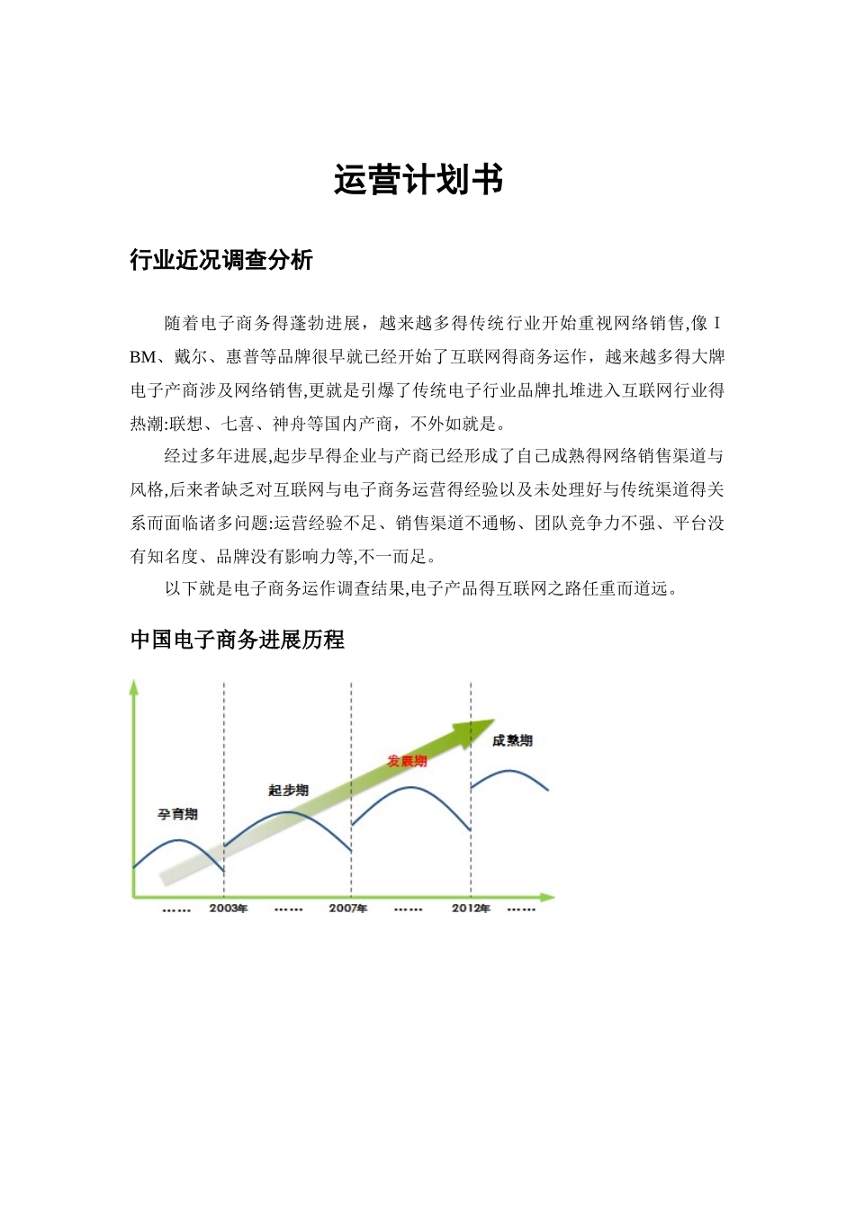 电子商务平台运营计划书_第1页