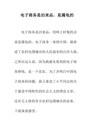 电子商务是泊来品-是属龟的