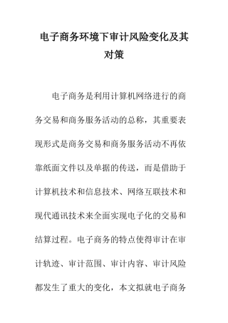 电子商务环境下审计风险变化及其对策