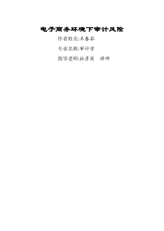电子商务环境下审计风险