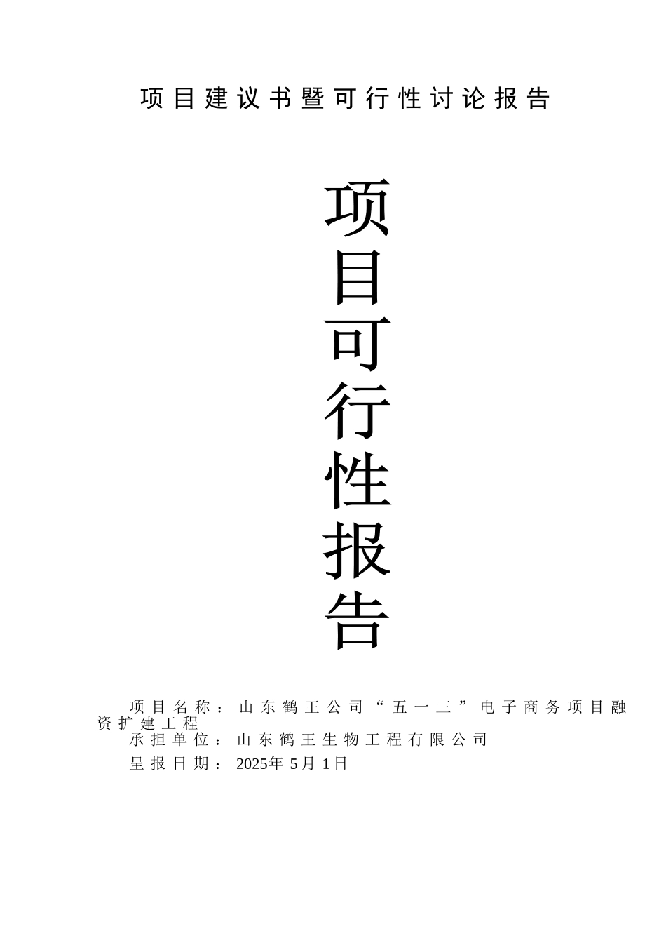 电子商务项目融资扩建工程项目可行性研究报告_第2页