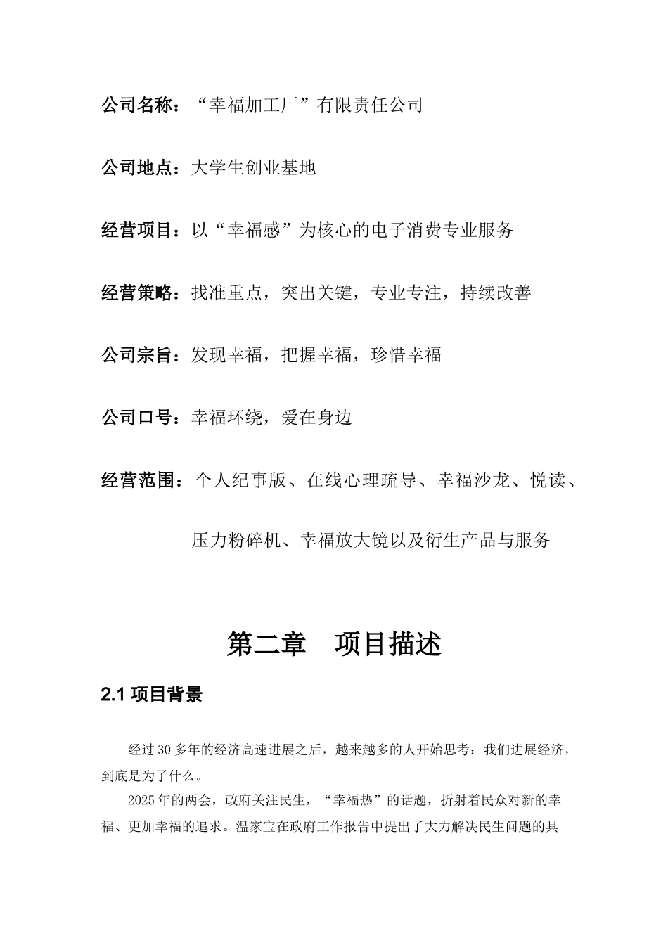 电子消费专业服务公司投资计划书_第3页