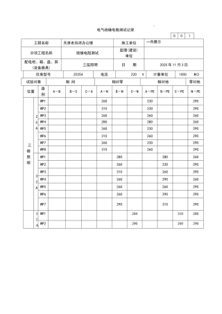 电气绝缘电阻测试记录