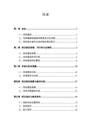 白水门电站技术改造可行性研究报告书