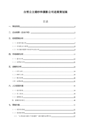 白雪公主婚纱和摄影公司发展策划案最新版