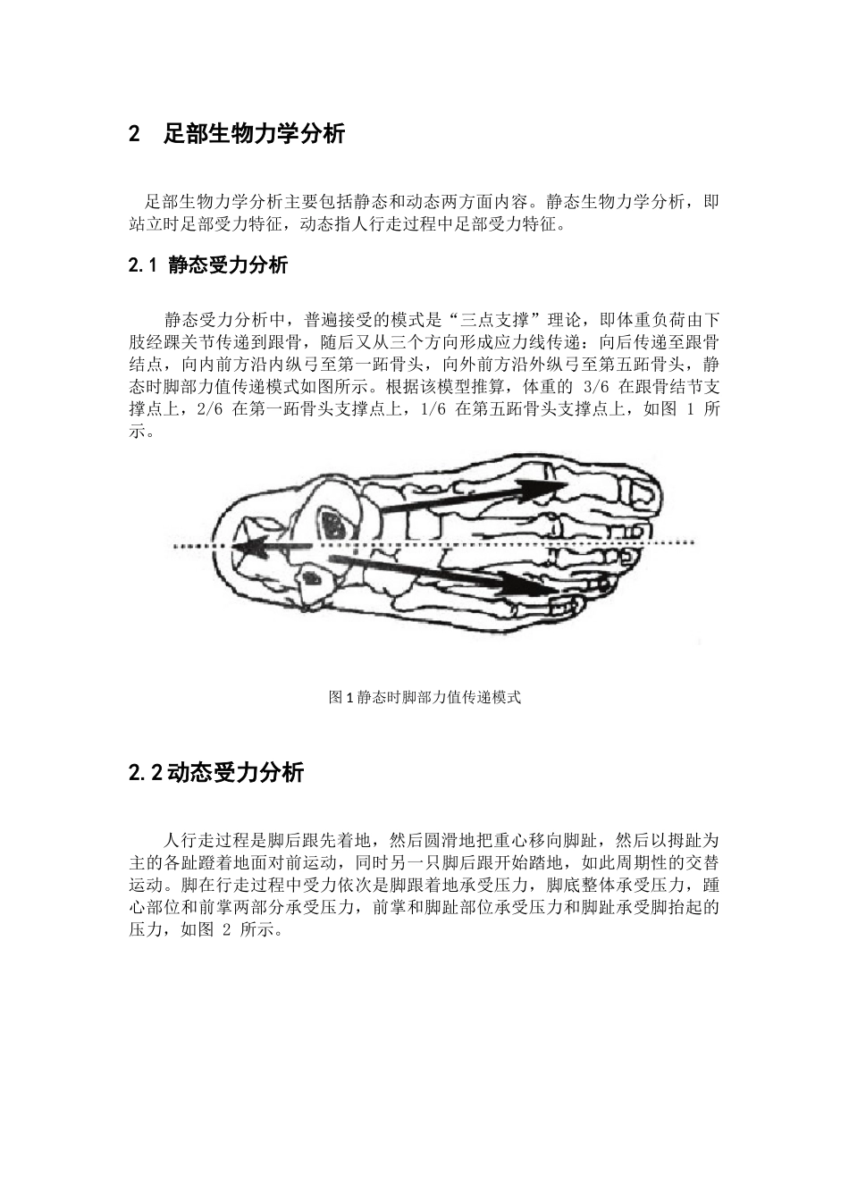 的鞋舒适性及安全性研究论文大学论文_第3页