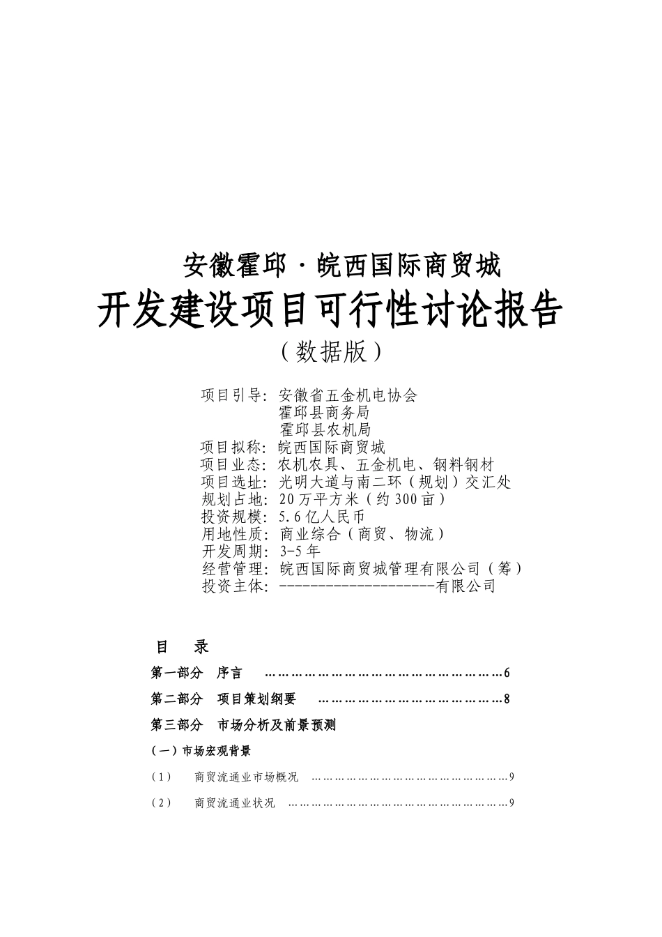 皖西国际商贸城项目可行性研究报告_第2页