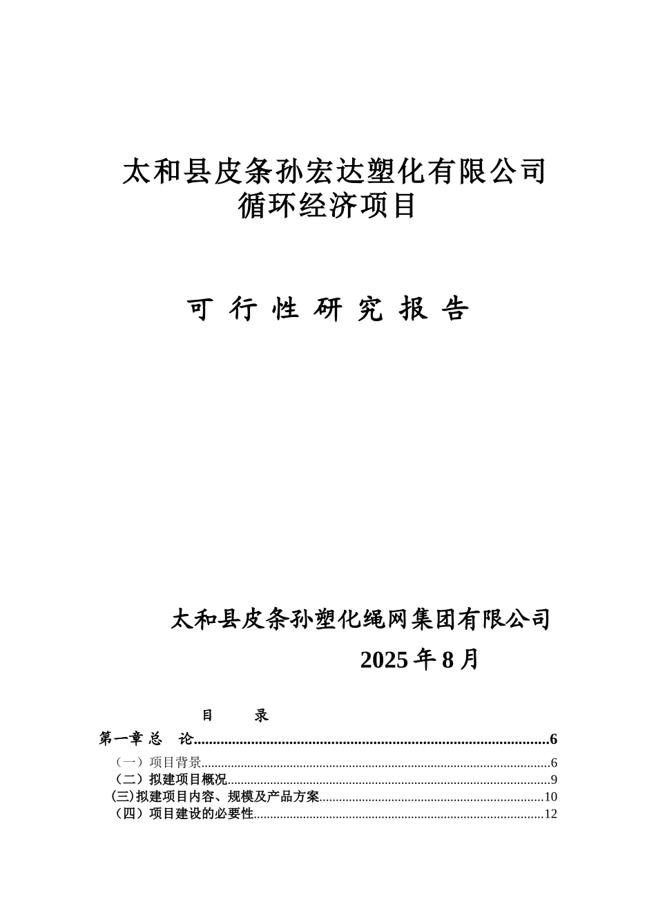 皮条孙塑化绳网产业集群可研报告_第2页