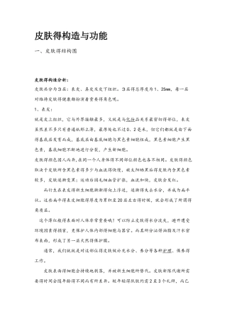 皮肤的构造与功能