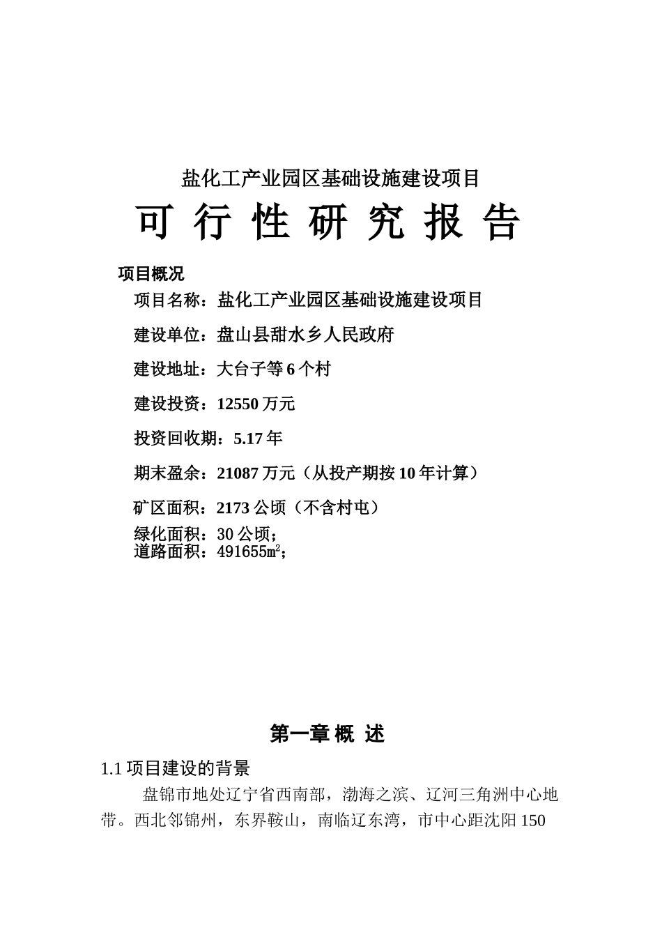 盐化工产业园区可行性研究报告_第2页