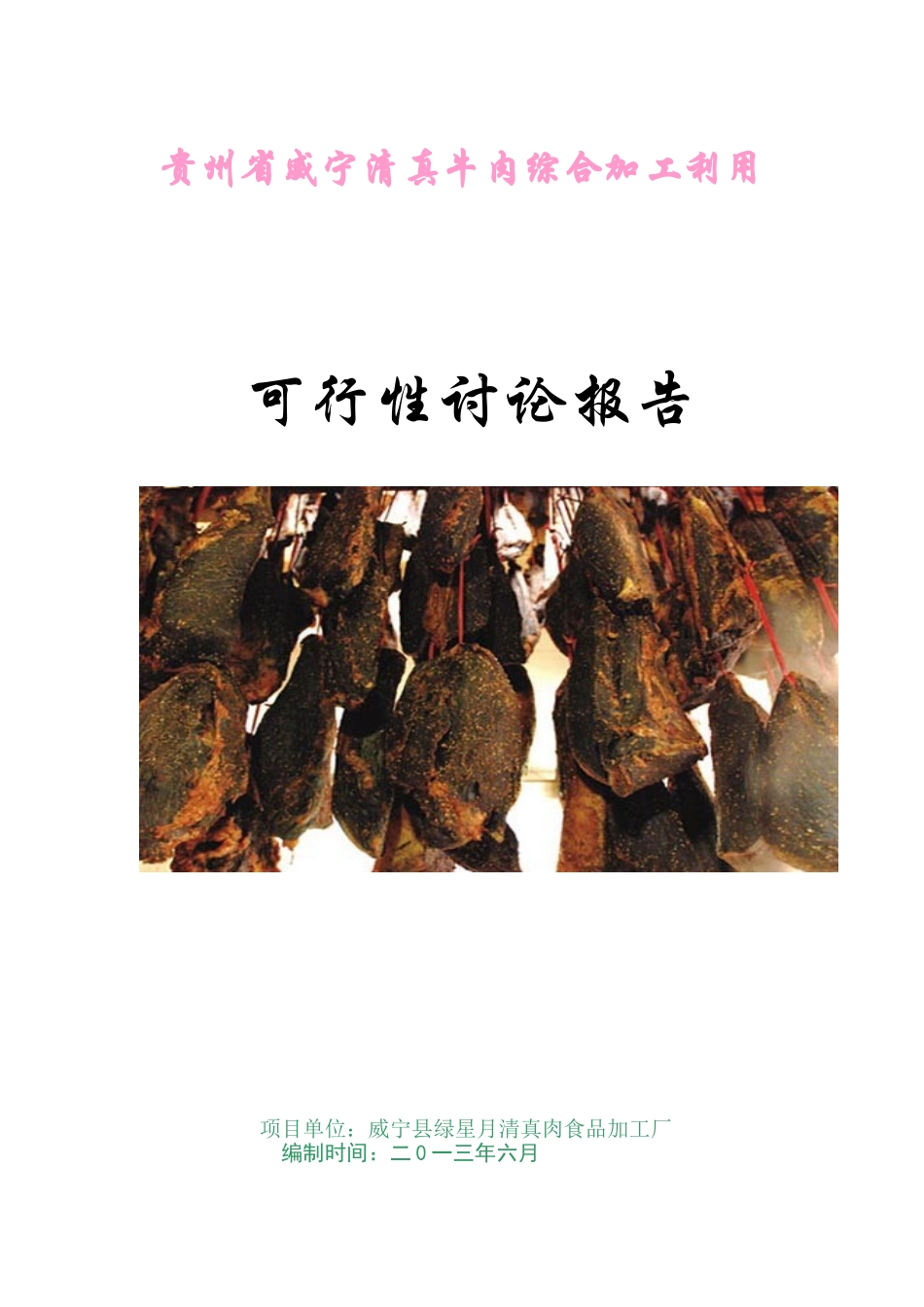 省威宁清真牛肉综合加工利用可行性研究报告_第2页