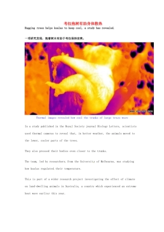 （每日一读）高考英语考前突破 阅读理解能力 文化教育 考拉抱树有助身体散热素材 