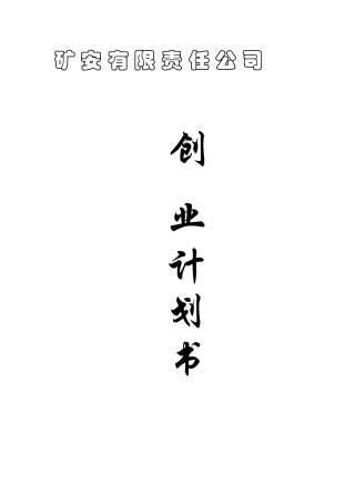 矿安有限责任公司项目创业计划书