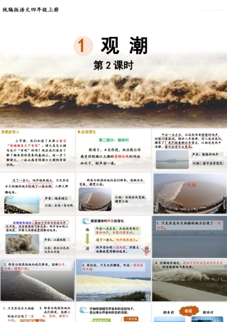 2025秋新教材统编版语文四年级（上）第1单元1《观潮》第2课时【课件】