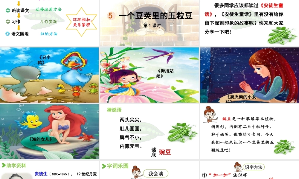 2025秋最新教材统编版语文四年级（上）第二单元-5《一个豆荚里的五粒豆》第1课时【课件】