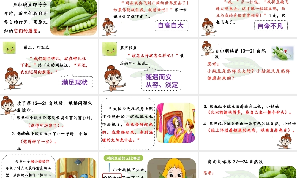 2025秋最新教材统编版语文四年级（上）第二单元-5《一个豆荚里的五粒豆》第2课时【课件】