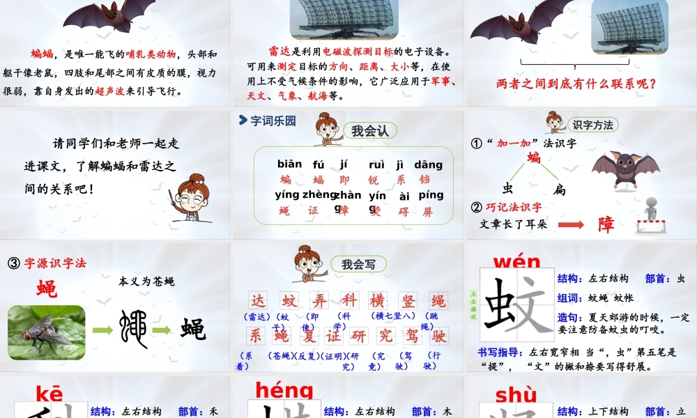 2025秋最新教材统编版语文四年级（上）第二单元-6《夜间飞行的秘密》第1课时【课件】