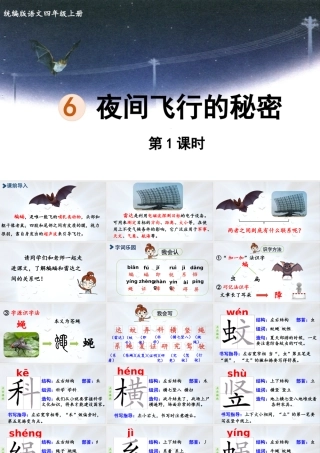 2025秋最新教材统编版语文四年级（上）第二单元-6《夜间飞行的秘密》第1课时【课件】