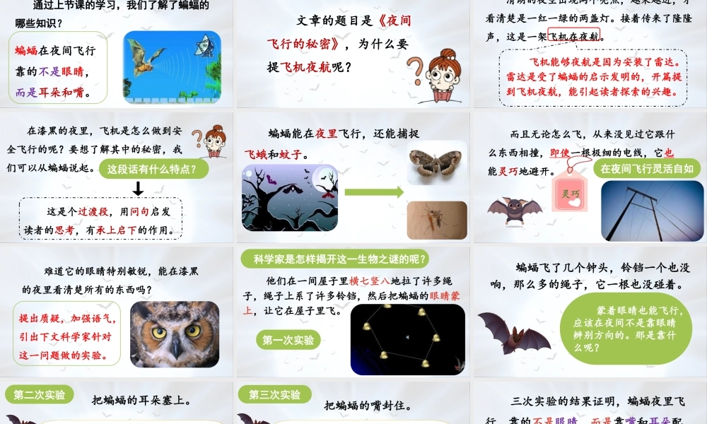 2025秋最新教材统编版语文四年级（上）第二单元-6《夜间飞行的秘密》第2课时【课件】