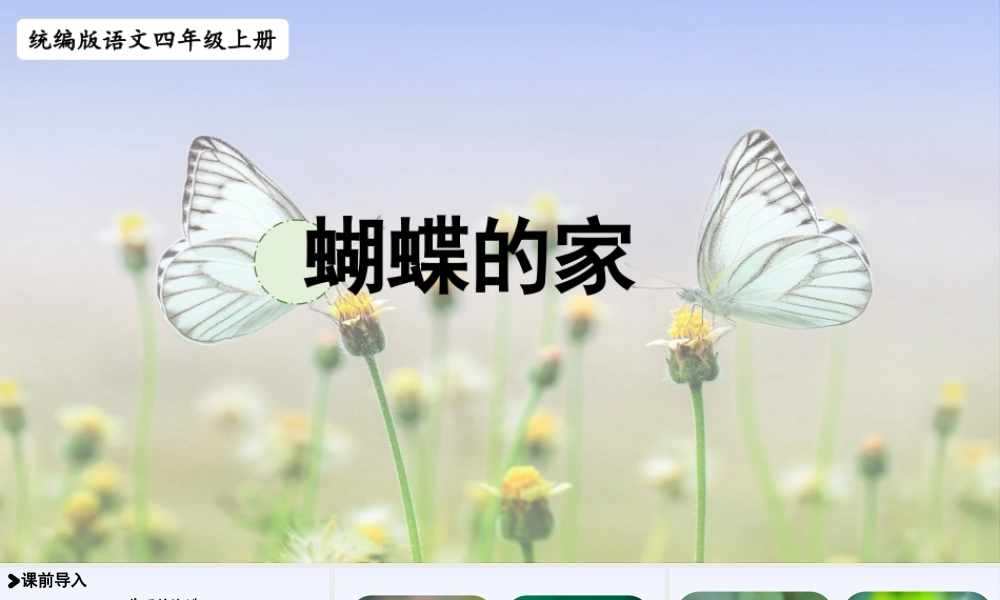 2025秋最新教材统编版语文四年级（上）第二单元-8《蝴蝶的家》【课件】