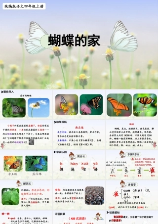 2025秋最新教材统编版语文四年级（上）第二单元-8《蝴蝶的家》【课件】