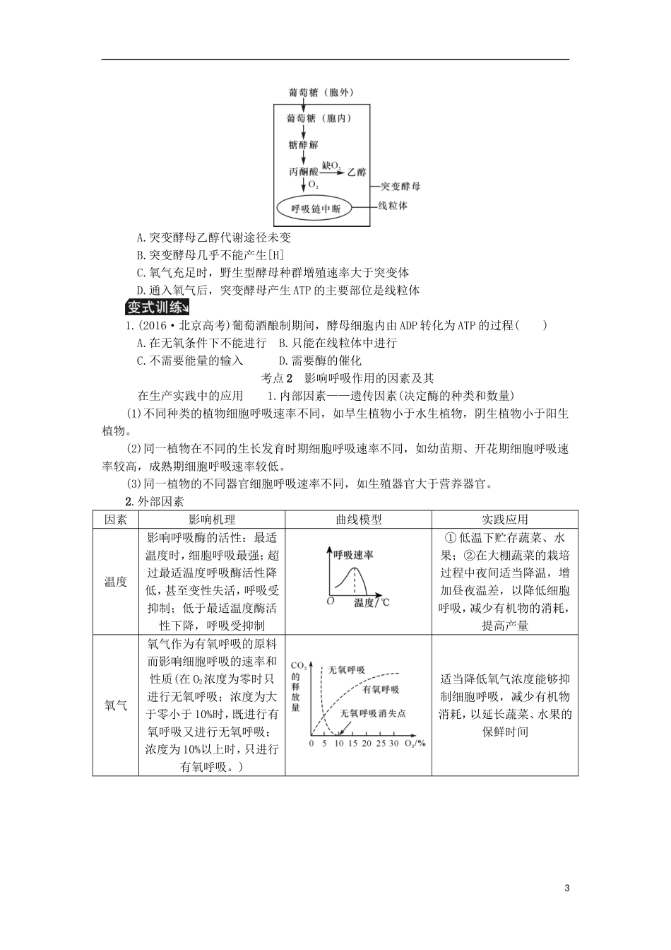 （江苏专用）高考生物一轮总复习 第3单元 细胞的代谢 第3讲 细胞呼吸学案-人教版高三全册生物学案_第3页