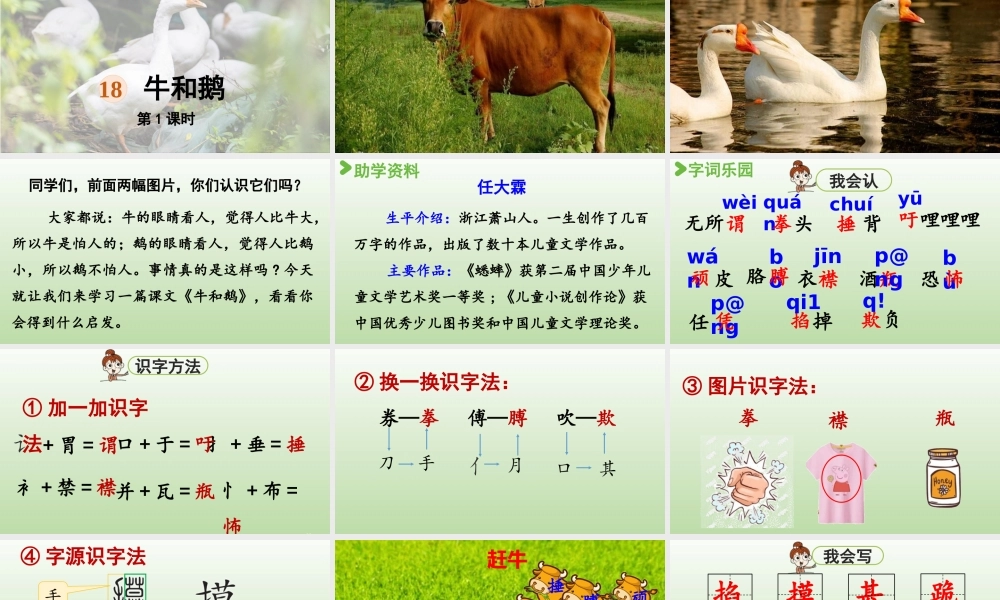 2025秋最新教材统编版语文四年级（上）第六单元-18《牛和鹅》第1课时【课件】