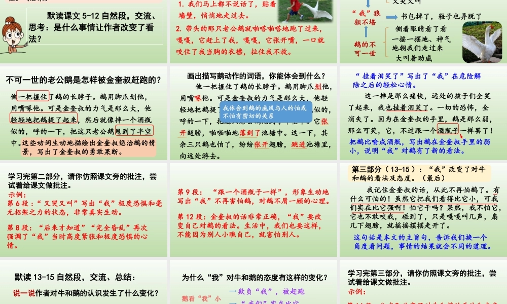 2025秋最新教材统编版语文四年级（上）第六单元-18《牛和鹅》第2课时【课件】