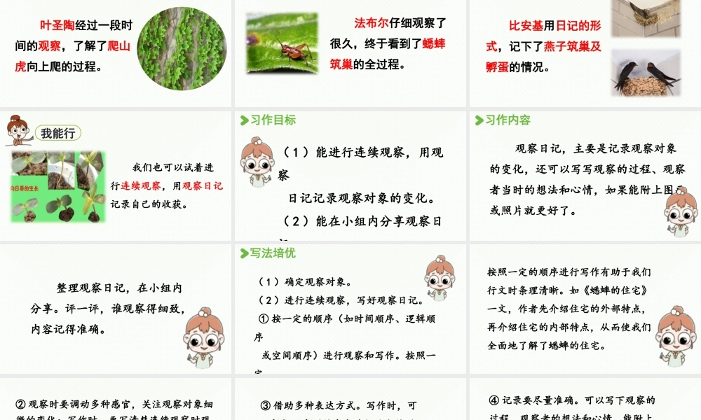 2025秋最新教材统编版语文四年级（上）第三单元-《习作：我的观察日记》第1课时【课件】