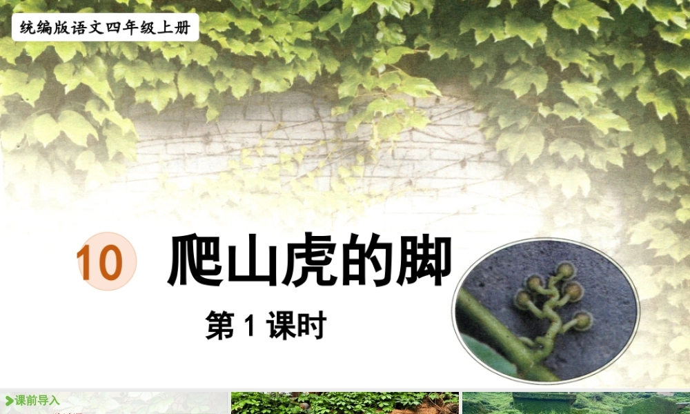 2025秋最新教材统编版语文四年级（上）第三单元-10《爬山虎的脚》第1课时【课件】