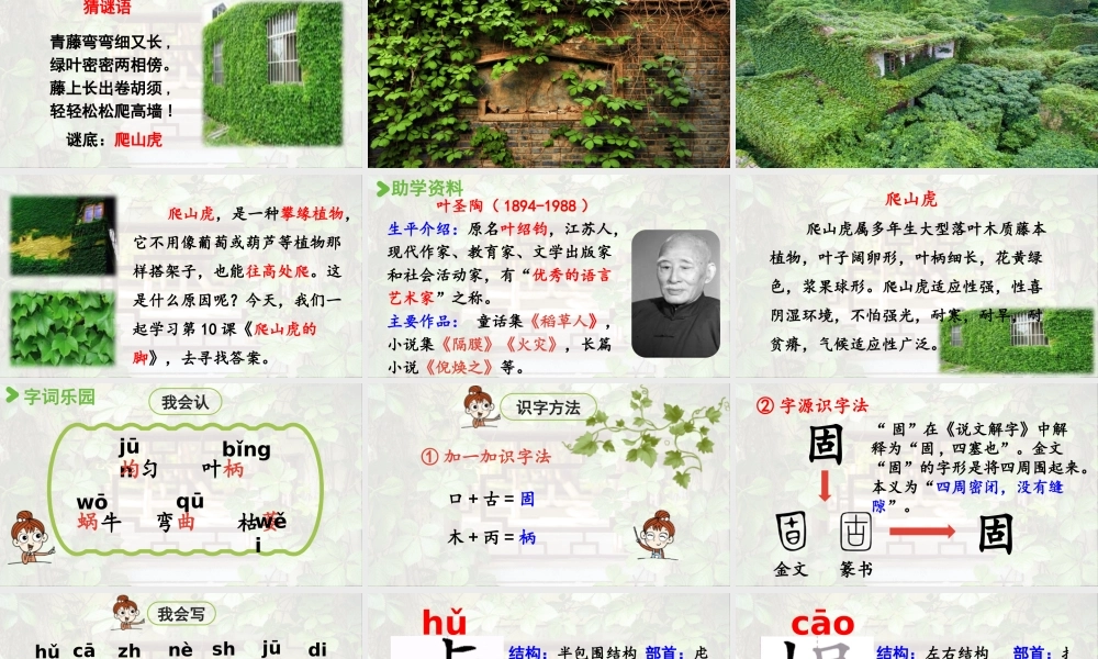 2025秋最新教材统编版语文四年级（上）第三单元-10《爬山虎的脚》第1课时【课件】