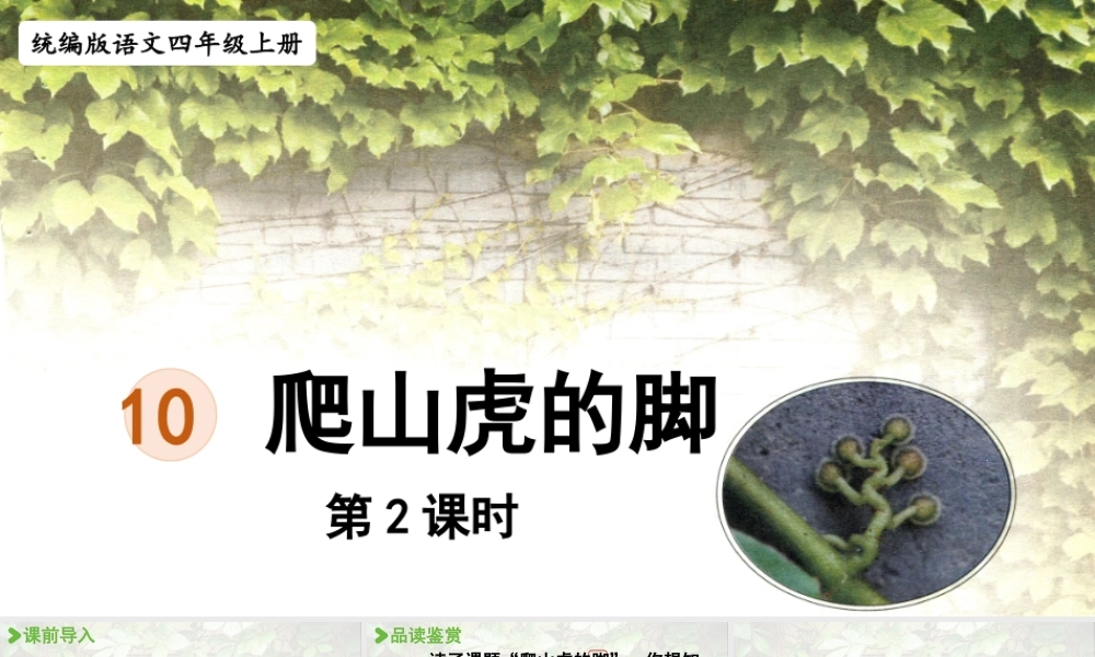 2025秋最新教材统编版语文四年级（上）第三单元-10《爬山虎的脚》第2课时【课件】