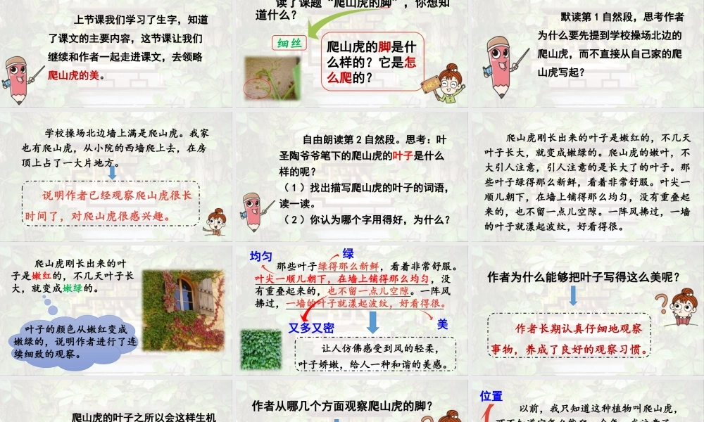 2025秋最新教材统编版语文四年级（上）第三单元-10《爬山虎的脚》第2课时【课件】