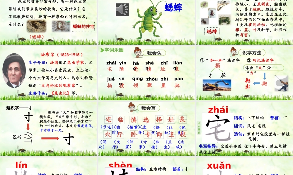 2025秋最新教材统编版语文四年级（上）第三单元-11《蟋蟀的住宅》第1课时【课件】