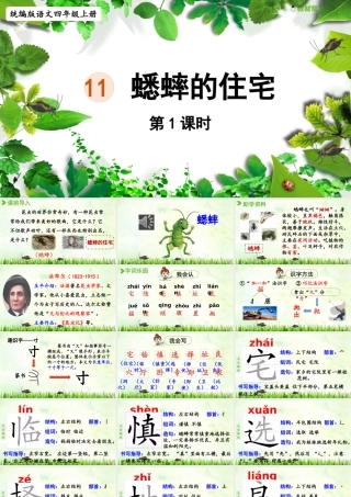 2025秋最新教材统编版语文四年级（上）第三单元-11《蟋蟀的住宅》第1课时【课件】
