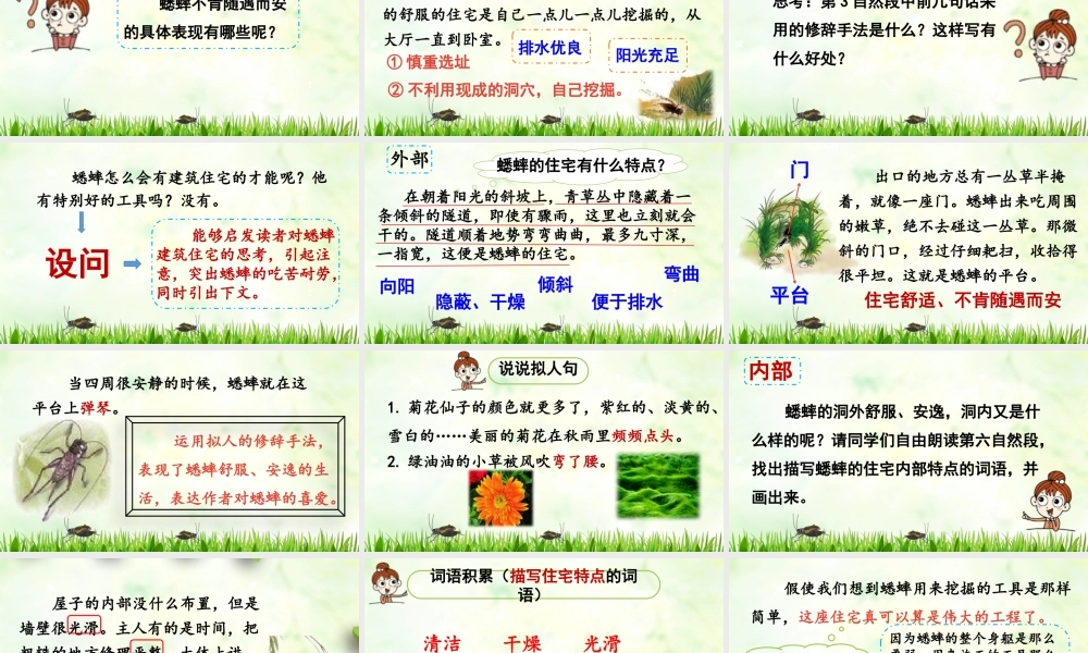 2025秋最新教材统编版语文四年级（上）第三单元-11《蟋蟀的住宅》第2课时【课件】