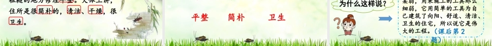 2025秋最新教材统编版语文四年级（上）第三单元-11《蟋蟀的住宅》第2课时【课件】
