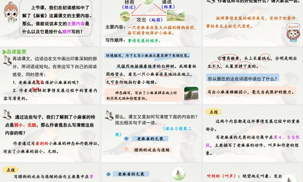 2025秋最新教材统编版语文四年级（上）第五单元-16《麻雀》第2课时【课件】